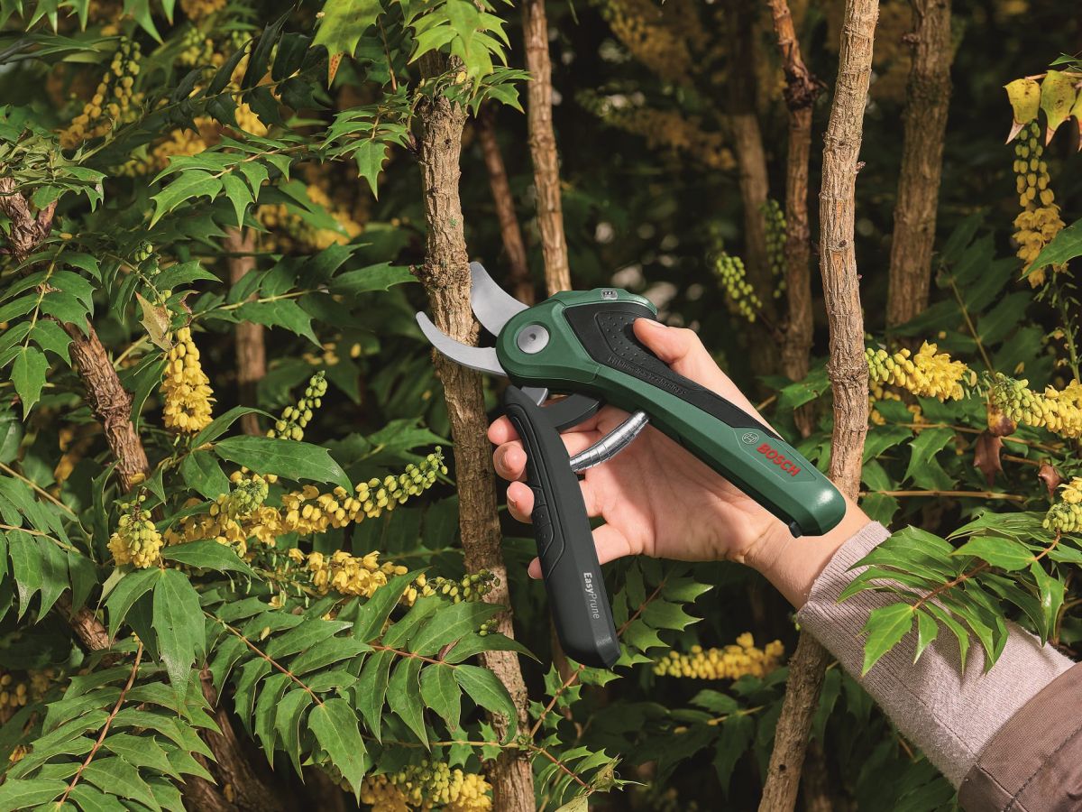 Секатор Bosch EasyPrune (0.600.8B2.102)