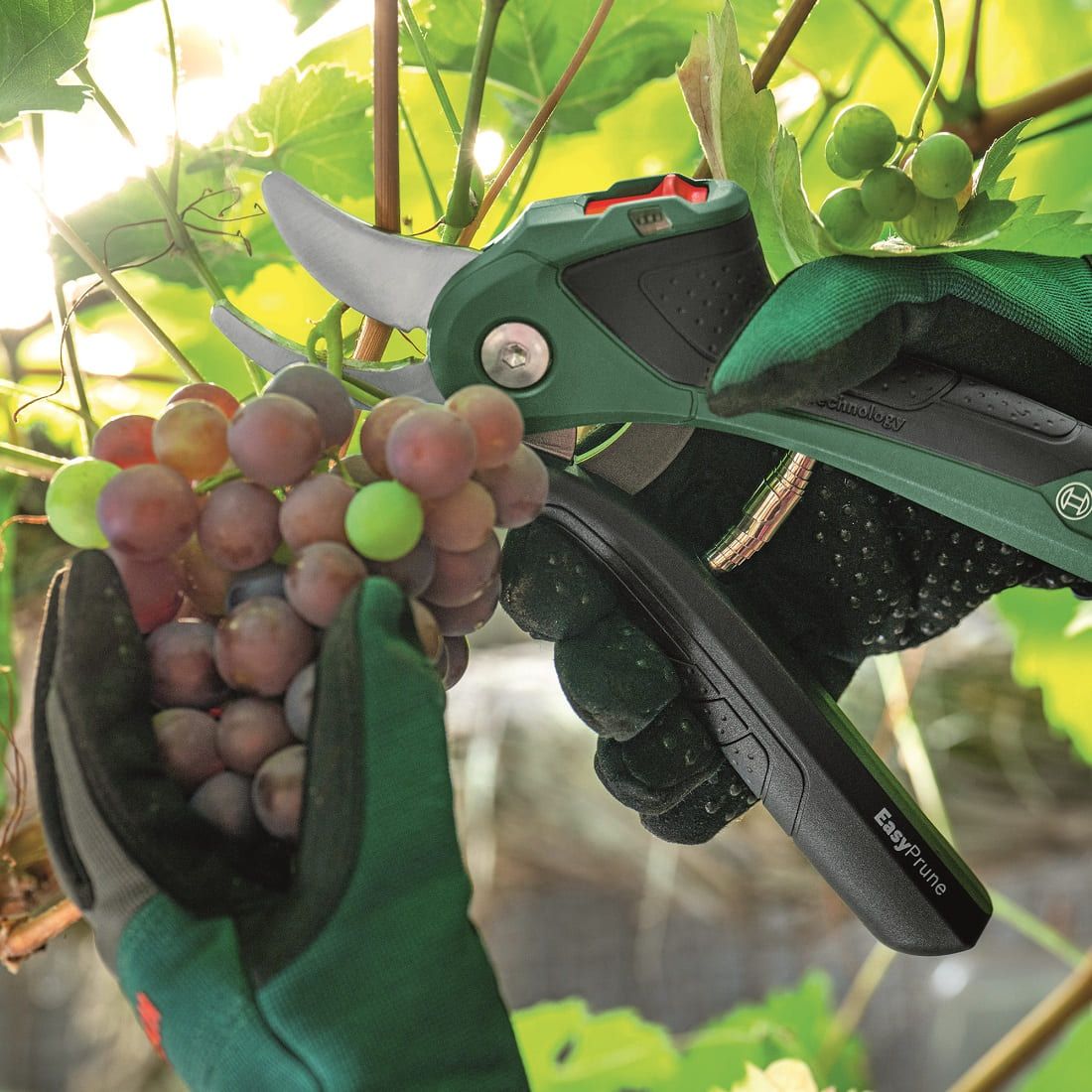 Секатор Bosch EasyPrune (0.600.8B2.102)