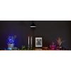 Гірлянда Smart LED Twinkly Strings RGB 600 чорний (TWS600STP-BEU)