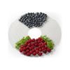Сушарка для продуктів Gorenje FDK500GCW