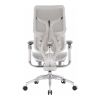 Офісне крісло Sihoo Doro S300 Mesh Light Grey (S300-M202)