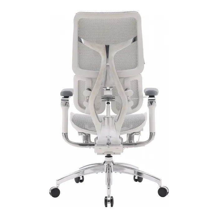 Офісне крісло Sihoo Doro S300 Mesh Light Grey (S300-M202)