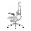Офісне крісло Sihoo Doro S300 Mesh Light Grey (S300-M202)