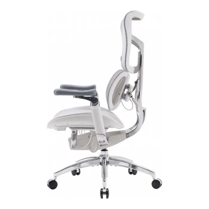 Офісне крісло Sihoo Doro S300 Mesh Light Grey (S300-M202)