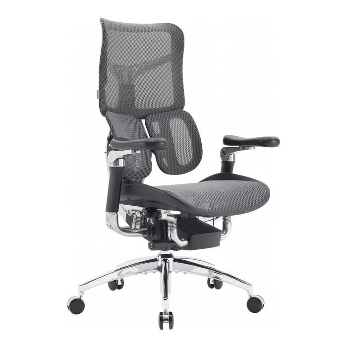 Офісне крісло Sihoo Doro S300 Mesh Dark Grey (S300-M201)