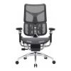 Офісне крісло Sihoo Doro S300 Mesh Dark Grey (S300-M201)
