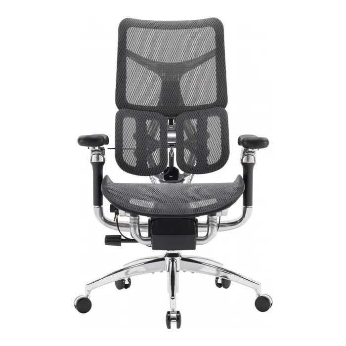 Офісне крісло Sihoo Doro S300 Mesh Dark Grey (S300-M201)