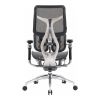 Офісне крісло Sihoo Doro S300 Mesh Dark Grey (S300-M201)