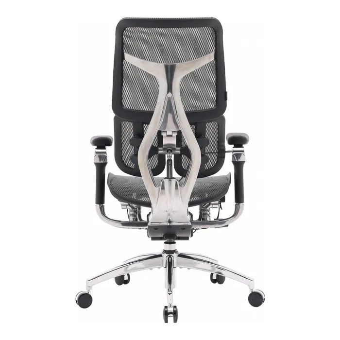 Офісне крісло Sihoo Doro S300 Mesh Dark Grey (S300-M201)