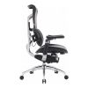 Офісне крісло Sihoo Doro S300 Mesh Dark Grey (S300-M201)