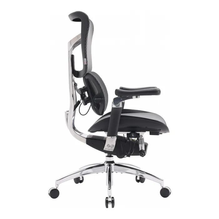 Офісне крісло Sihoo Doro S300 Mesh Dark Grey (S300-M201)