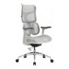 Офісне крісло Sihoo Doro S100 Mesh White (S100-M302)