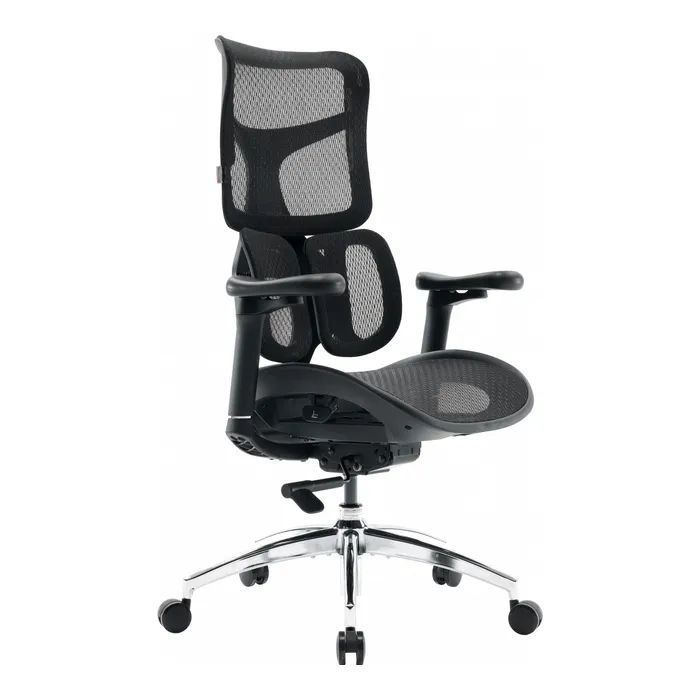 Офісне крісло Sihoo Doro S100 Mesh Black (S100-M301)