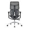 Офісне крісло Sihoo Doro S100 Mesh Black (S100-M301)