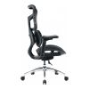 Офісне крісло Sihoo Doro S100 Mesh Black (S100-M301)
