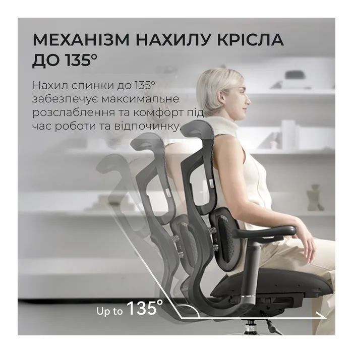 Офісне крісло Sihoo Doro S100 Mesh Black (S100-M301)