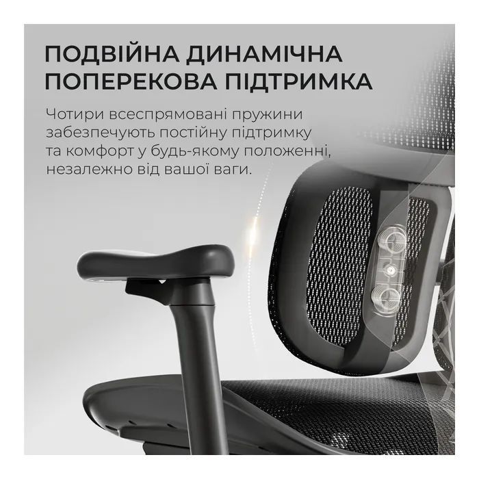 Офісне крісло Sihoo Doro S100 Mesh Black (S100-M301)