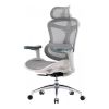 Офісне крісло Sihoo Doro C300L Mesh White (DORO-C300L-A3-102)
