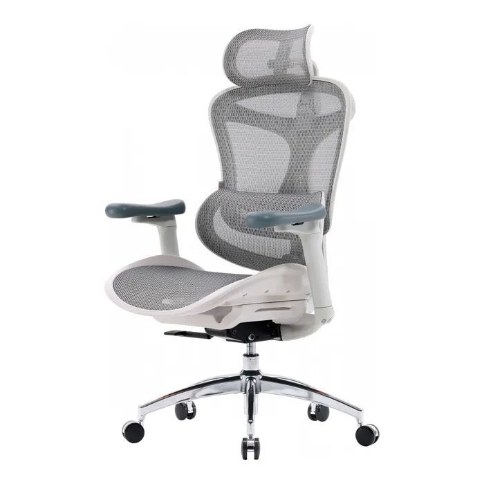 Офісне крісло Sihoo Doro C300L Mesh White (DORO-C300L-A3-102)