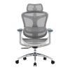 Офісне крісло Sihoo Doro C300L Mesh White (DORO-C300L-A3-102)