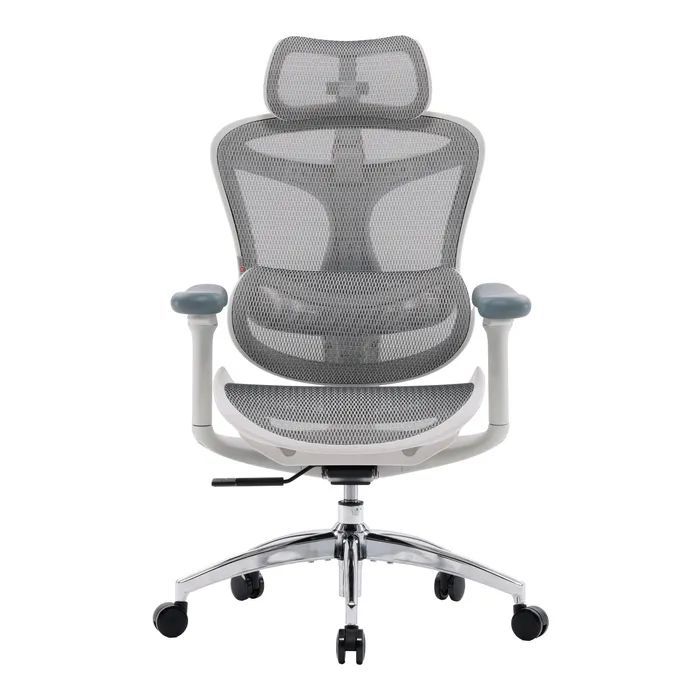 Офісне крісло Sihoo Doro C300L Mesh White (DORO-C300L-A3-102)