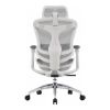 Офісне крісло Sihoo Doro C300L Mesh White (DORO-C300L-A3-102)