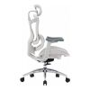 Офісне крісло Sihoo Doro C300L Mesh White (DORO-C300L-A3-102)