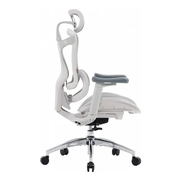 Офісне крісло Sihoo Doro C300L Mesh White (DORO-C300L-A3-102)
