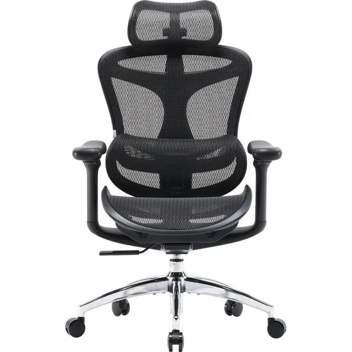 Офісне крісло Sihoo Doro C300L Mesh Black (DORO-C300L-A3-101)