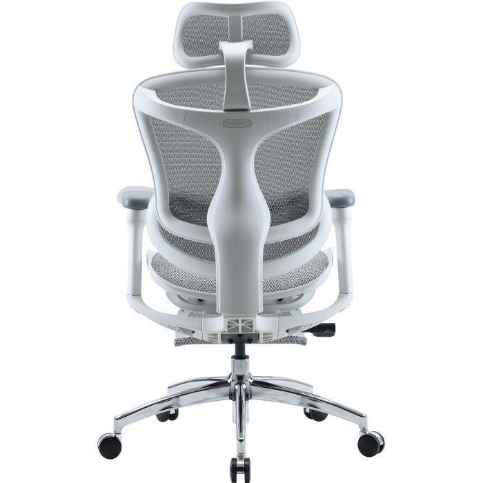 Офісне крісло з підставкою для ніг Sihoo DORO C300L Mesh White (DORO-C300L-A3-102-JT)