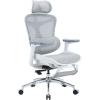 Офісне крісло з підставкою для ніг Sihoo DORO C300L Mesh White (DORO-C300L-A3-102-JT)