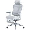 Офісне крісло з підставкою для ніг Sihoo DORO C300L Mesh White (DORO-C300L-A3-102-JT)