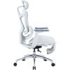 Офісне крісло з підставкою для ніг Sihoo DORO C300L Mesh White (DORO-C300L-A3-102-JT)