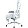 Офісне крісло з підставкою для ніг Sihoo DORO C300L Mesh White (DORO-C300L-A3-102-JT)