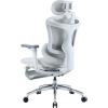 Офісне крісло з підставкою для ніг Sihoo DORO C300L Mesh White (DORO-C300L-A3-102-JT)