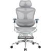 Офісне крісло з підставкою для ніг Sihoo DORO C300 Pro Mesh White (DORO-C300-PRO-M102-JT)