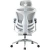 Офісне крісло з підставкою для ніг Sihoo DORO C300 Pro Mesh White (DORO-C300-PRO-M102-JT)