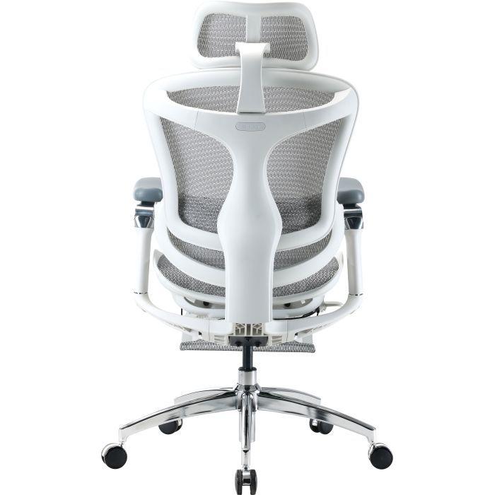 Офісне крісло з підставкою для ніг Sihoo DORO C300 Pro Mesh White (DORO-C300-PRO-M102-JT)