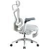 Офісне крісло з підставкою для ніг Sihoo DORO C300 Pro Mesh White (DORO-C300-PRO-M102-JT)