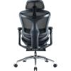 Офісне крісло з підставкою для ніг Sihoo DORO C300 Pro Mesh Black (DORO-C300-PRO-M101-JT)