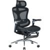 Офісне крісло з підставкою для ніг Sihoo DORO C300 Pro Mesh Black (DORO-C300-PRO-M101-JT)