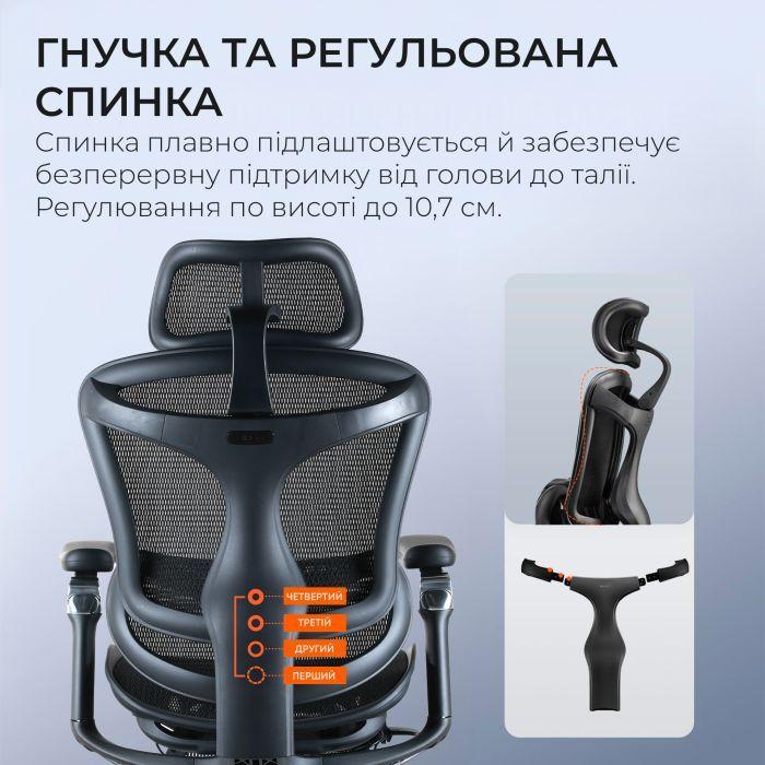 Офісне крісло з підставкою для ніг Sihoo DORO C300 Pro Mesh Black (DORO-C300-PRO-M101-JT)