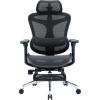 Офісне крісло з підставкою для ніг Sihoo DORO C300L Mesh Black (DORO-C300L-A3-101-JT)