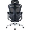 Офісне крісло з підставкою для ніг Sihoo DORO C300L Mesh Black (DORO-C300L-A3-101-JT)