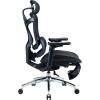 Офісне крісло з підставкою для ніг Sihoo DORO C300L Mesh Black (DORO-C300L-A3-101-JT)