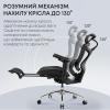 Офісне крісло з підставкою для ніг Sihoo DORO C300L Mesh Black (DORO-C300L-A3-101-JT)