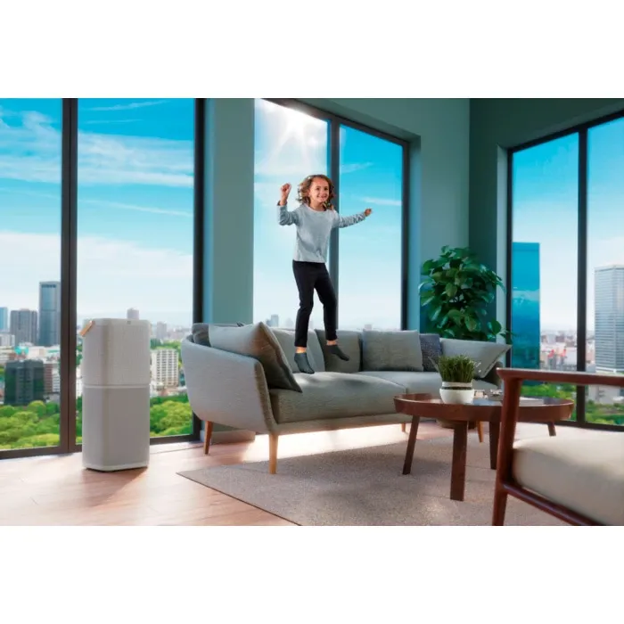 Очисник повітря Electrolux PA91-404GY