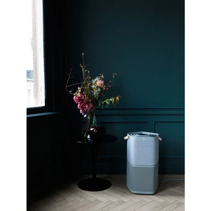 Очисник повітря Electrolux PA91-404GY