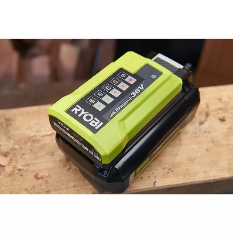 Зарядний пристрій Ryobi Max Power RY36C17A (5133004557)