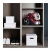 Пилосос Rowenta Compact Power XXL Animal Plus Kit (RO4B63EA)